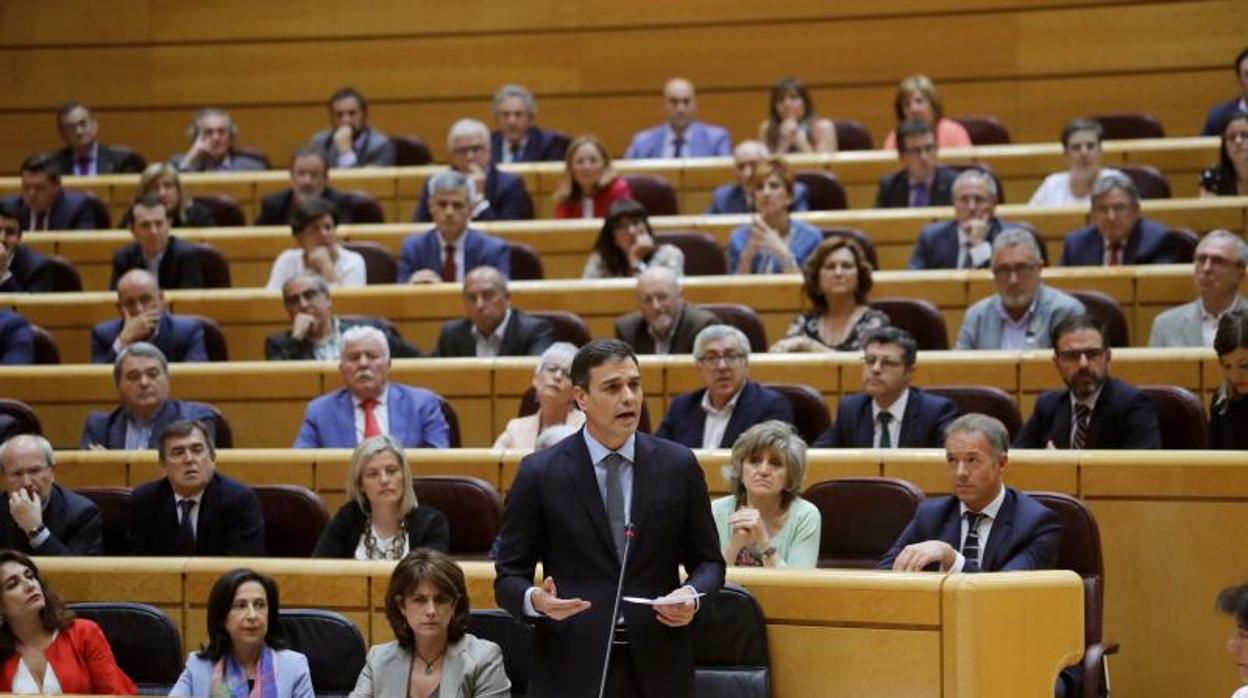 Pedro Sánchez, en el Senado