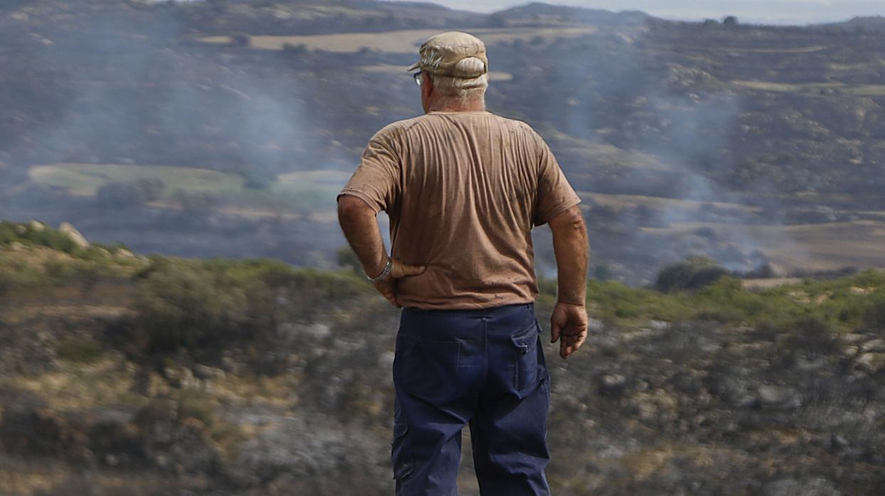 Un hombre mira el paisaje calcinado por un incendio forestal