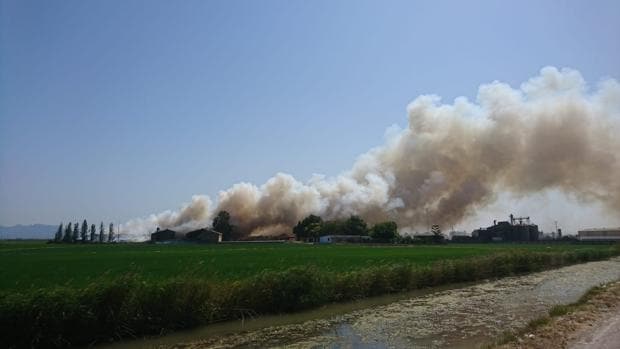 El incendio en una fábrica de madera de Sollana genera una gran columna de humo