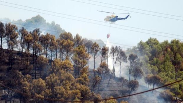 Declarado un incendio en el paraje del Cerro Negro