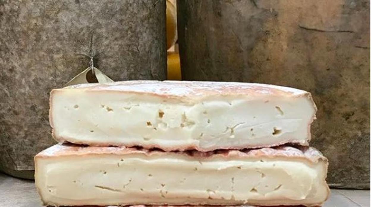 Once intoxicados en Canarias por consumo de queso