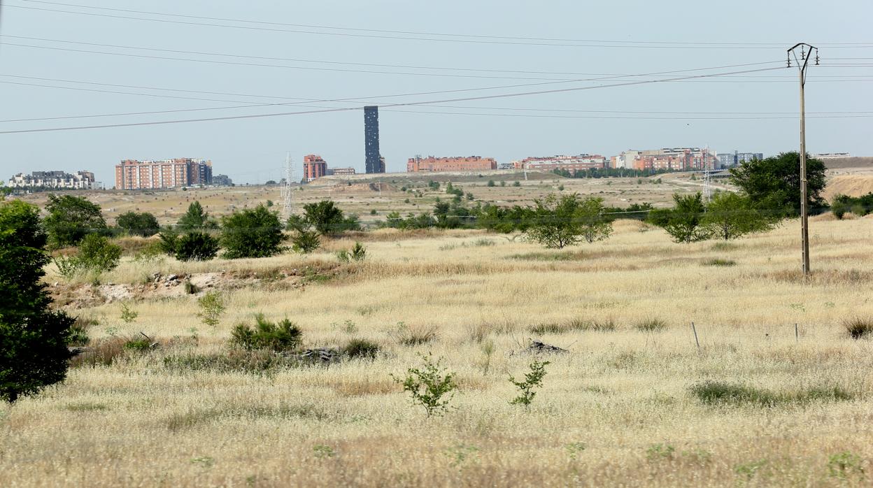 Terreno de Los Berrocales, incluido en el plan de desarrollo del sureste