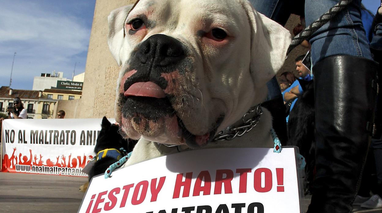 Imagen de archivo de una manifestación en contra del maltrato animal