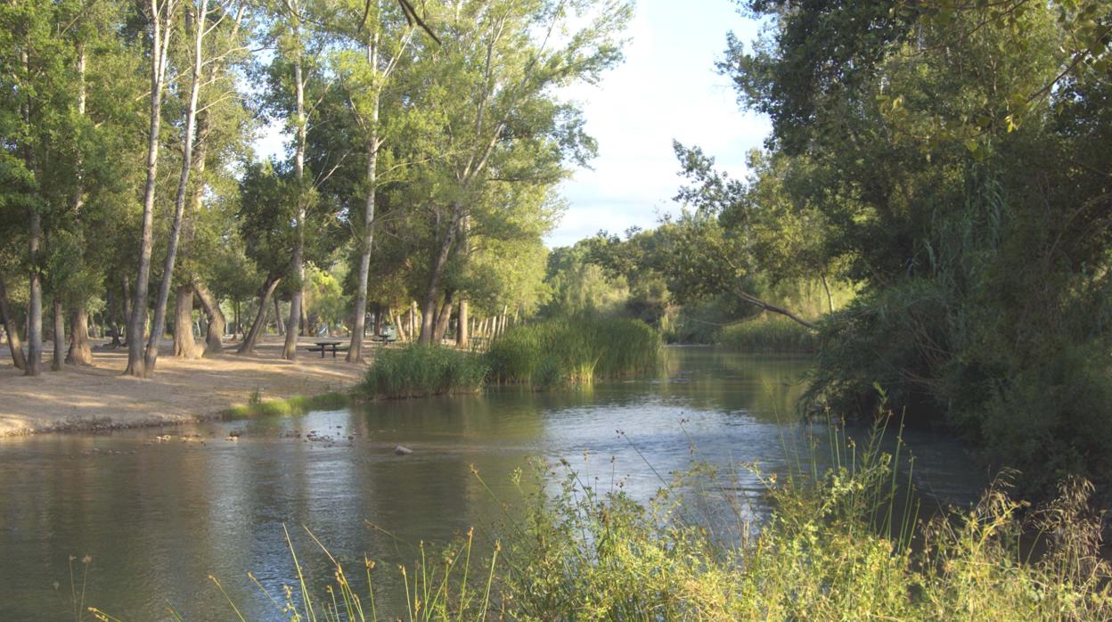 Imagen de archivo del río Turia