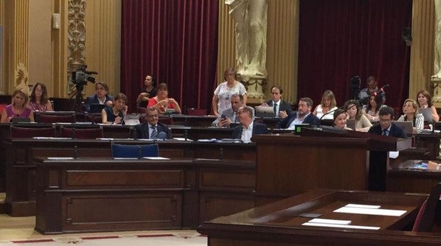 Una diputada balear estará de pie en todos los plenos si no se le permite cambiar de ubicación en el hemiciclo