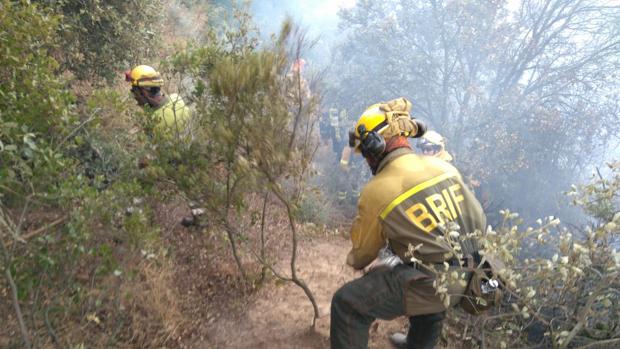 Detenido el presunto autor de varios incendios en los alrededores de Talavera