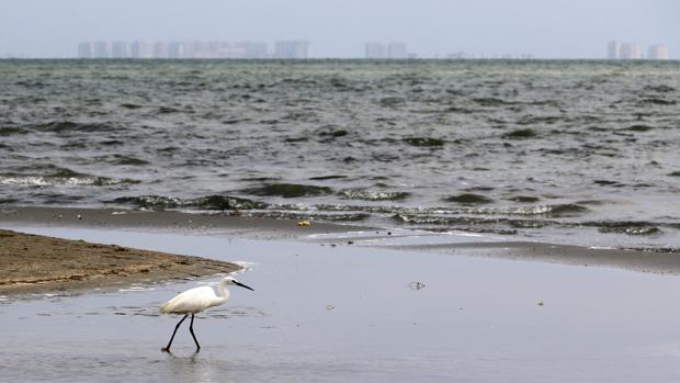 Alertan del riesgo de subida de nivel del agua del Mar Menor