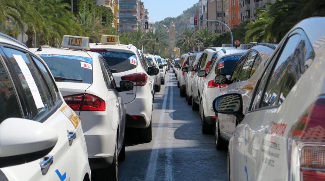 Taxis cortando el tráfico en la avenida de la Estación de Alicante