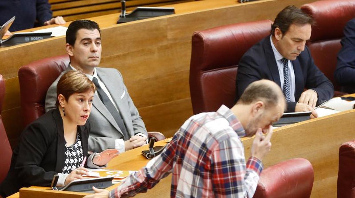 La diputada autonómica Mercedes Ventura (C's), en las Cortes Valencianas