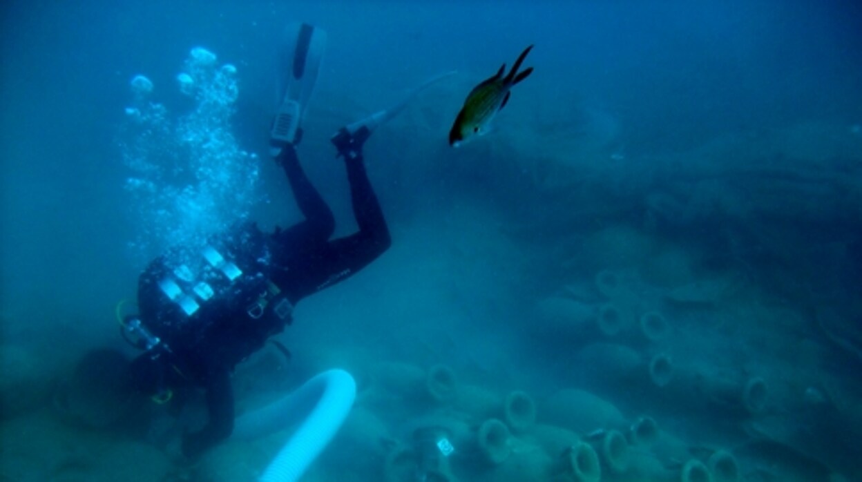 Imatge d'una visita subaquàtica