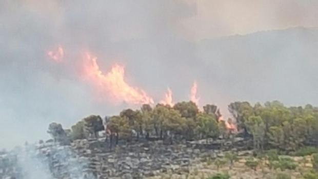 Preparan una posible evacuación y envían al Ejército por un incendio en Llutxent