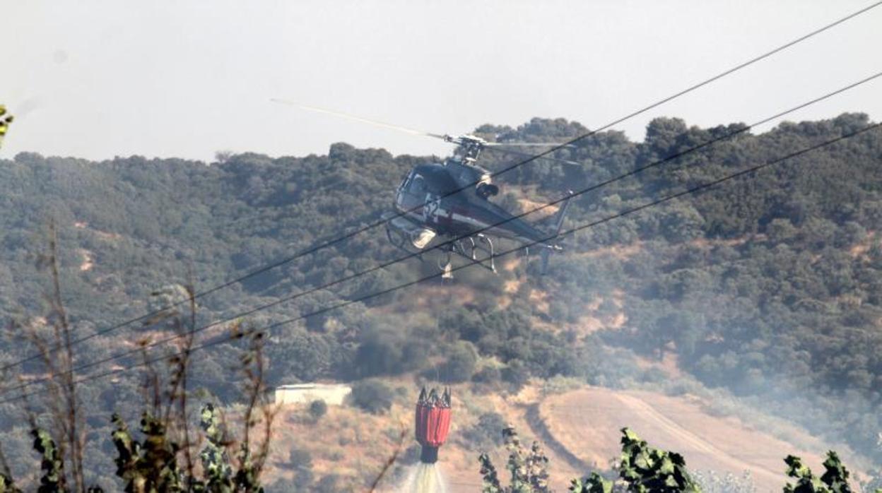 En la zona están trabajando 22 personas y seis medios, dos de ellos aéreos
