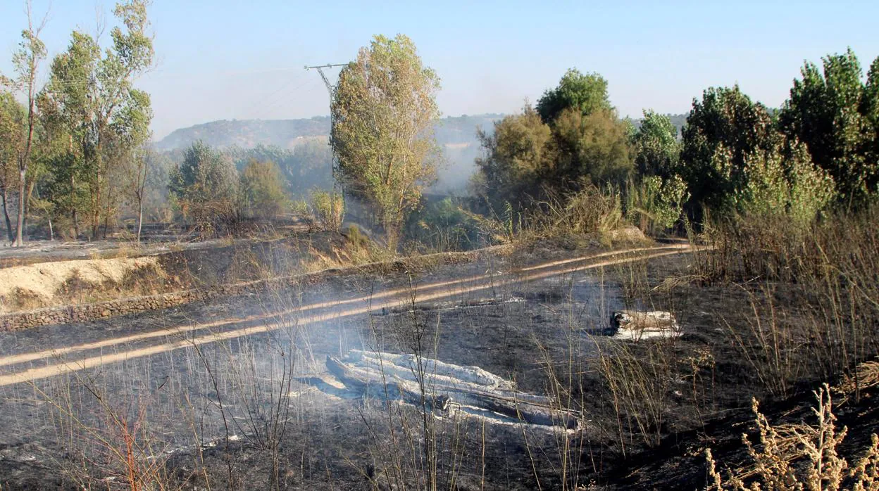 Imagen del incendio forestal ocurrido este míercoles a la entrada de Talavera