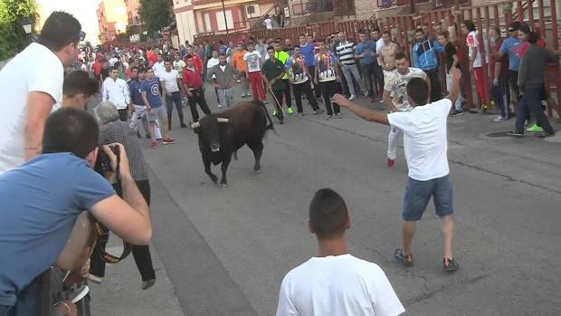 Arrancan este sábado las fiestas de Seseña, con las peñas como protagonistas