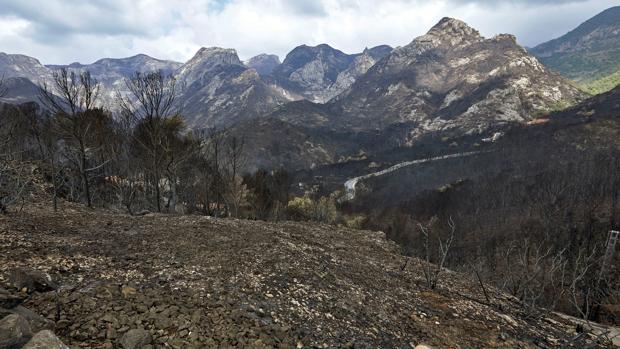 Extinguido el incendio de Llutxent tras quemar en cinco días 3.270 hectáreas