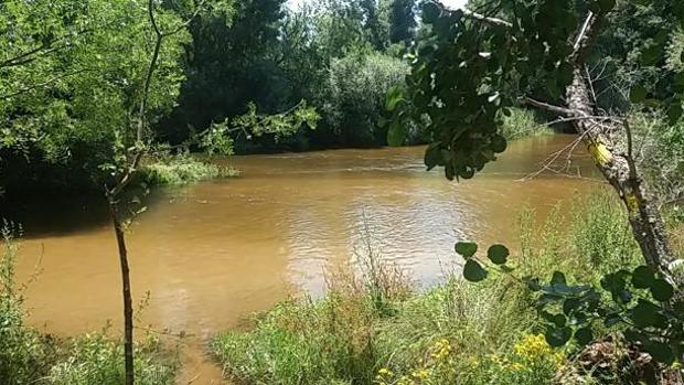 Los bomberos rescatan a tres personas atrapadas en un islote del Alberche