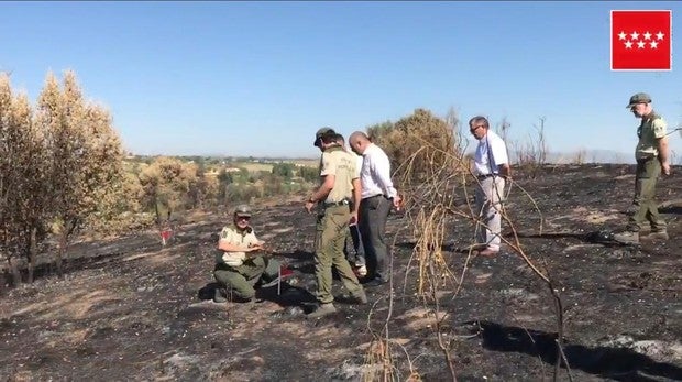 Los alrededores del Valle de los Caídos registran cinco incendios leves provocados