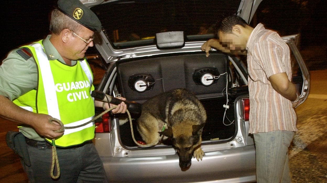 Un perro de la Guardia Civil inspecciona un vehículo en un control de drogas