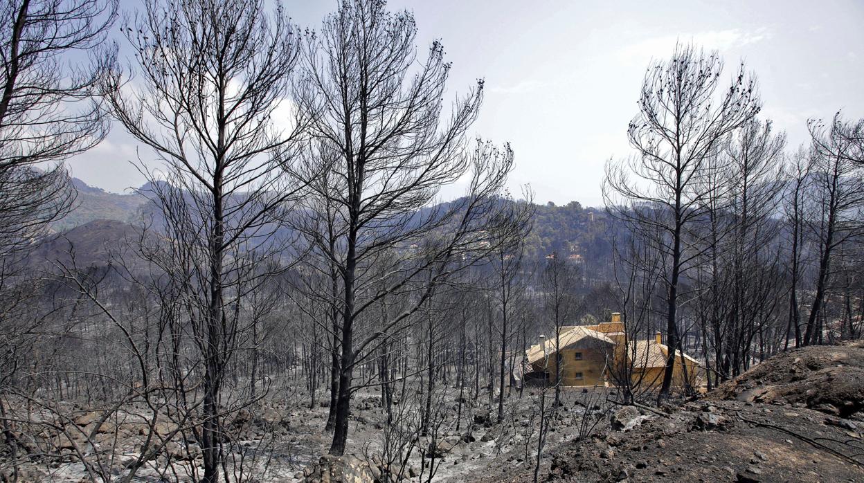 Imagen de una parte de las zonas afectadas por el incendio