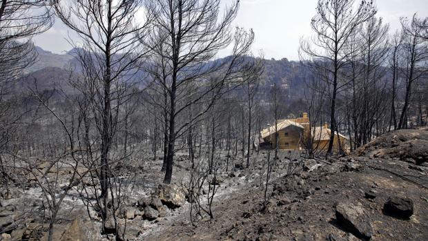 Gandia crea grupos de trabajo para trabajar en zonas afectadas por el incendio