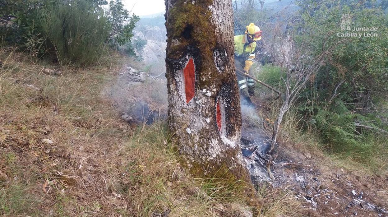 Un bombero trabaja en la extinción de uno de los incendios registrados en la provincia de León