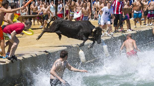 Muere una vaquilla en los «Bous a la mar» de Benicarló