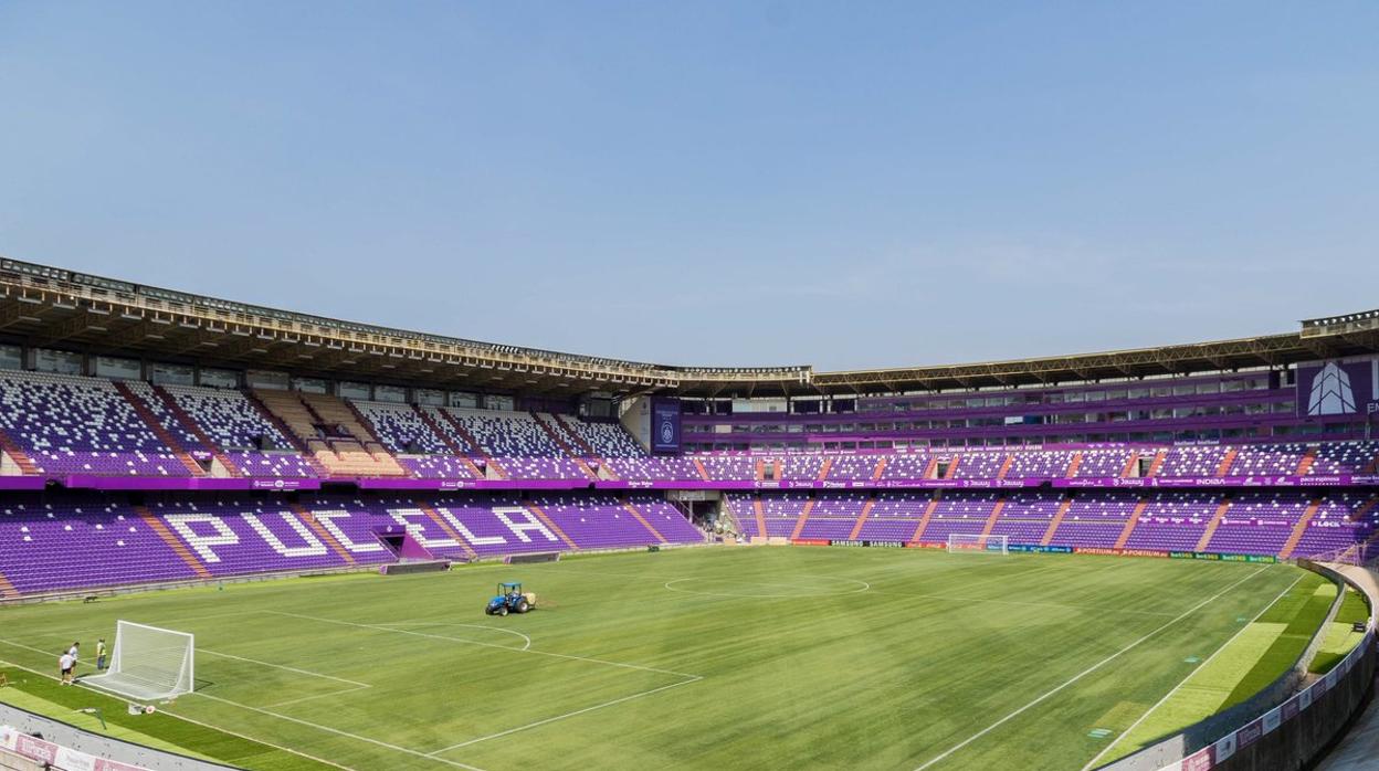 El césped del José Zorrilla ya está listo para un partido de Primera División