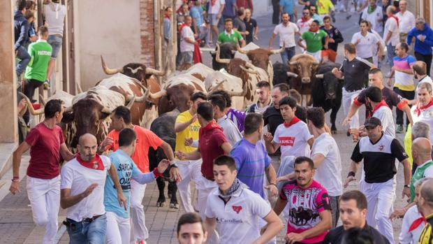 Cogida leve en el encierro que estrena la declaración de Interés Internacional en Cuéllar