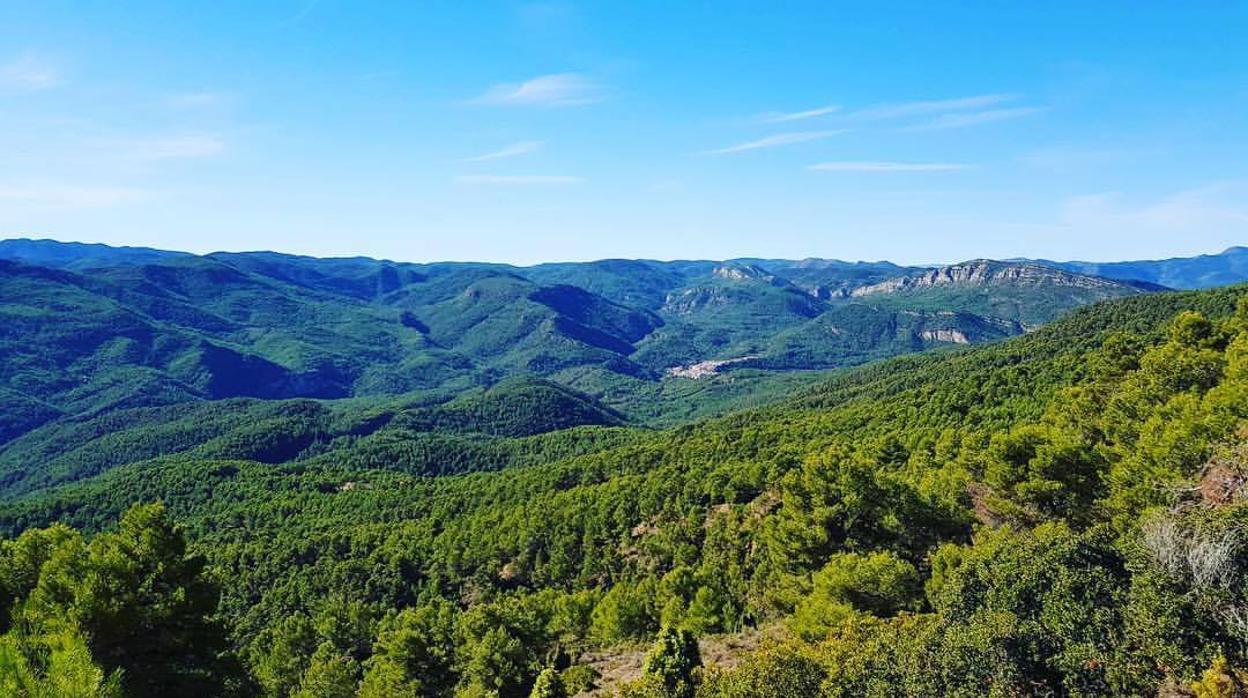 Imagen promocional de Castellón