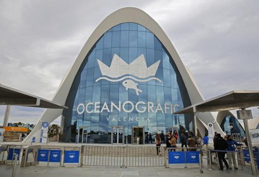 El Oceanogràfic de Valencia, el segundo mejor acuario del mundo según ...