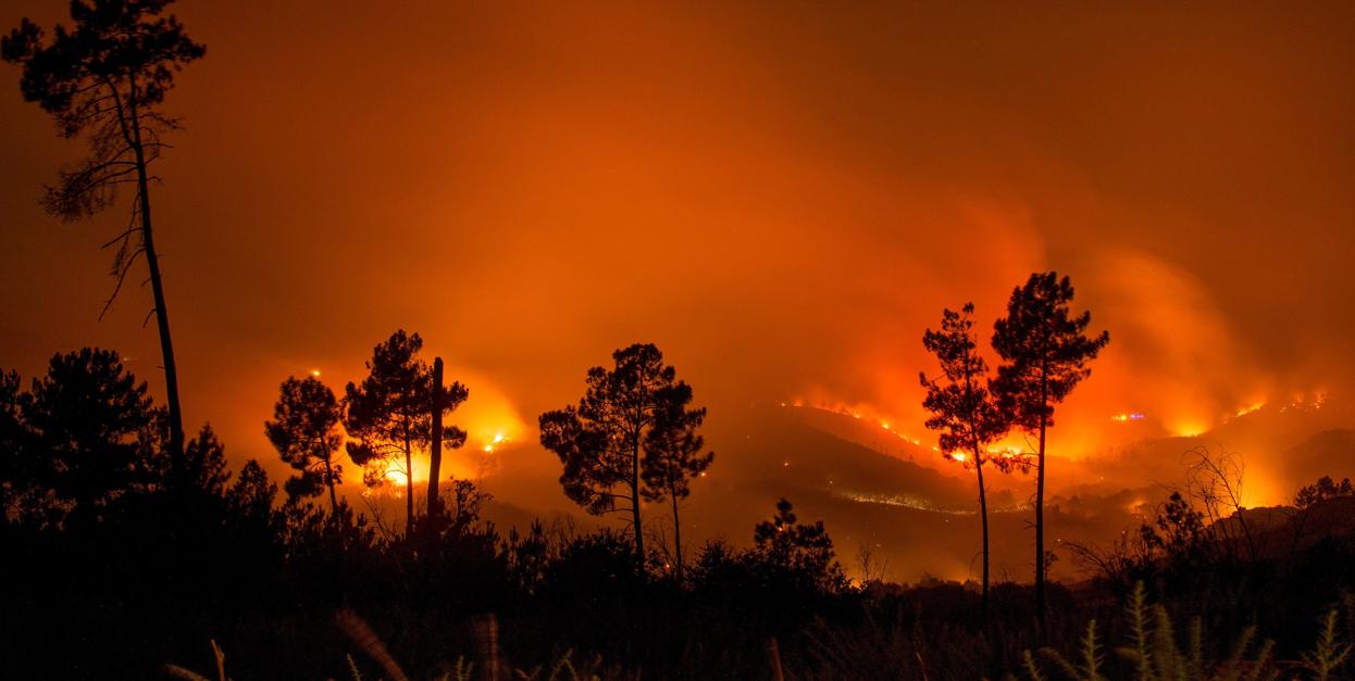 Imagen nocturna del incendio de Monterrei