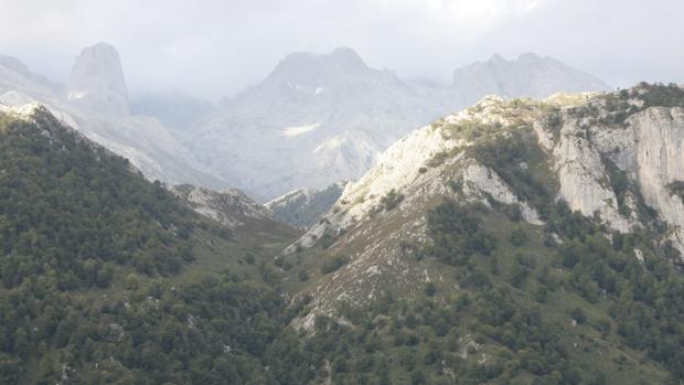 La Guardia Civil busca a un hombre de 78 años extraviado en Picos de Europa