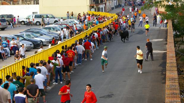 Todo listo para el XIX certamen de novilladas picadas «Alfarero de Oro»