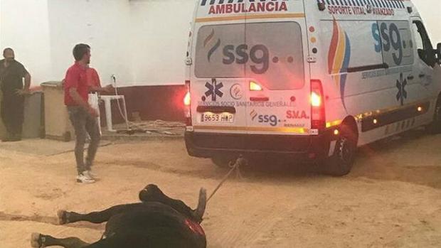 Podemos denuncia el uso de una ambulancia para retirar a un toro en un festejo de Valdepeñas