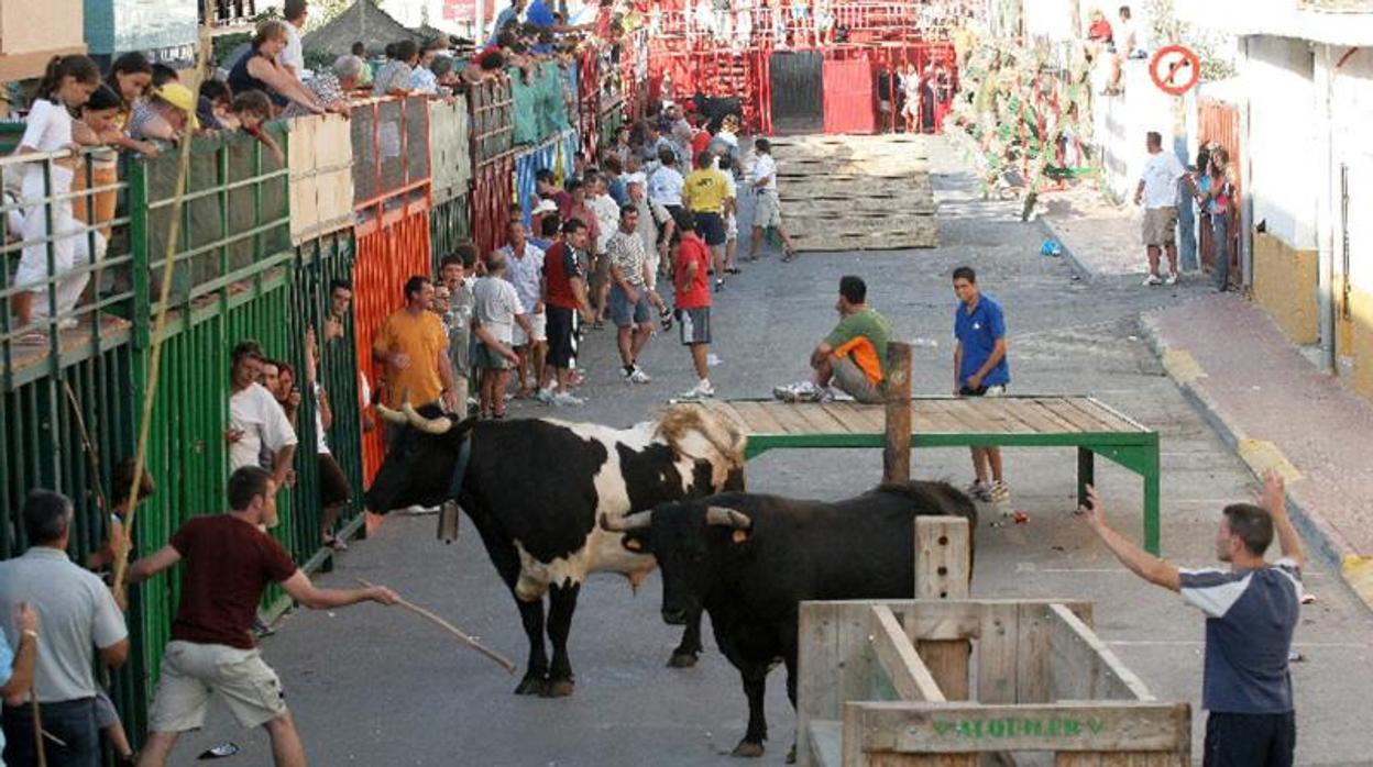 Festejos de bous al carrer en una imagen de archivo