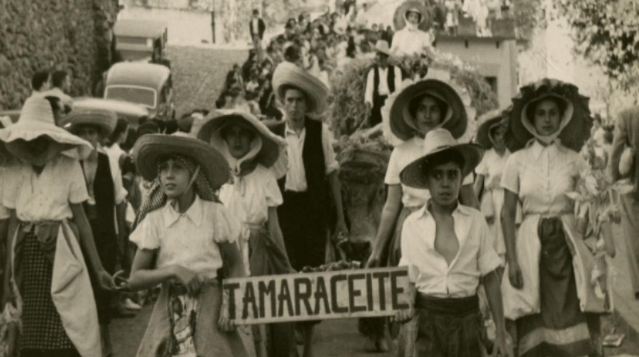 Siete escenas del pasado rural de Canarias