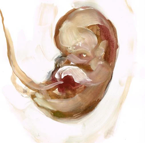 Ilustración de Bonet para «Cuerpo de embarazada sin embrión»