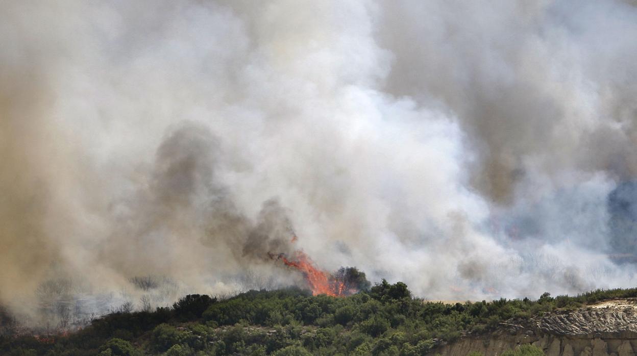 El 9% de los incendios que se han producido en lo que va de año han sido intencionados, y un 50% por negligencias o accidentes provocados por la mano del hombre