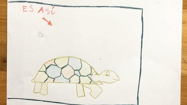 El emotivo dibujo de una niña de siete años para buscar a su tortuga perdida: «Te echamos de menos»