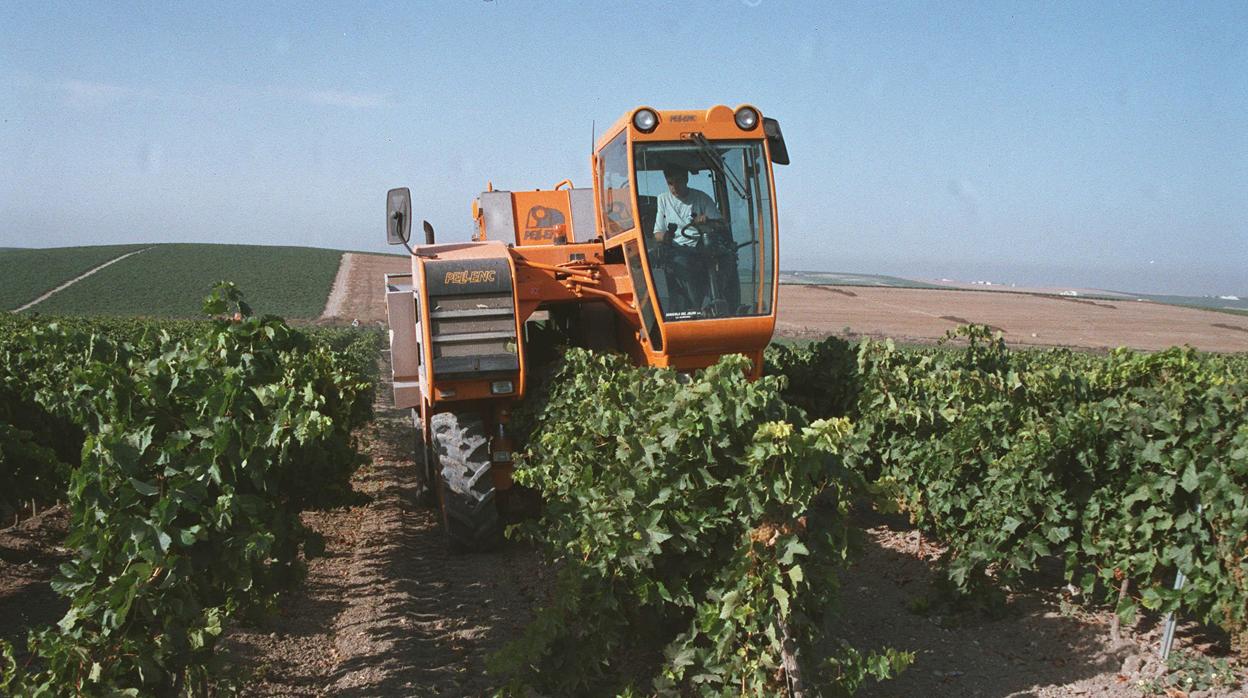 En el sector de la agricultura la disminución ha sido del 9,6 por ciento