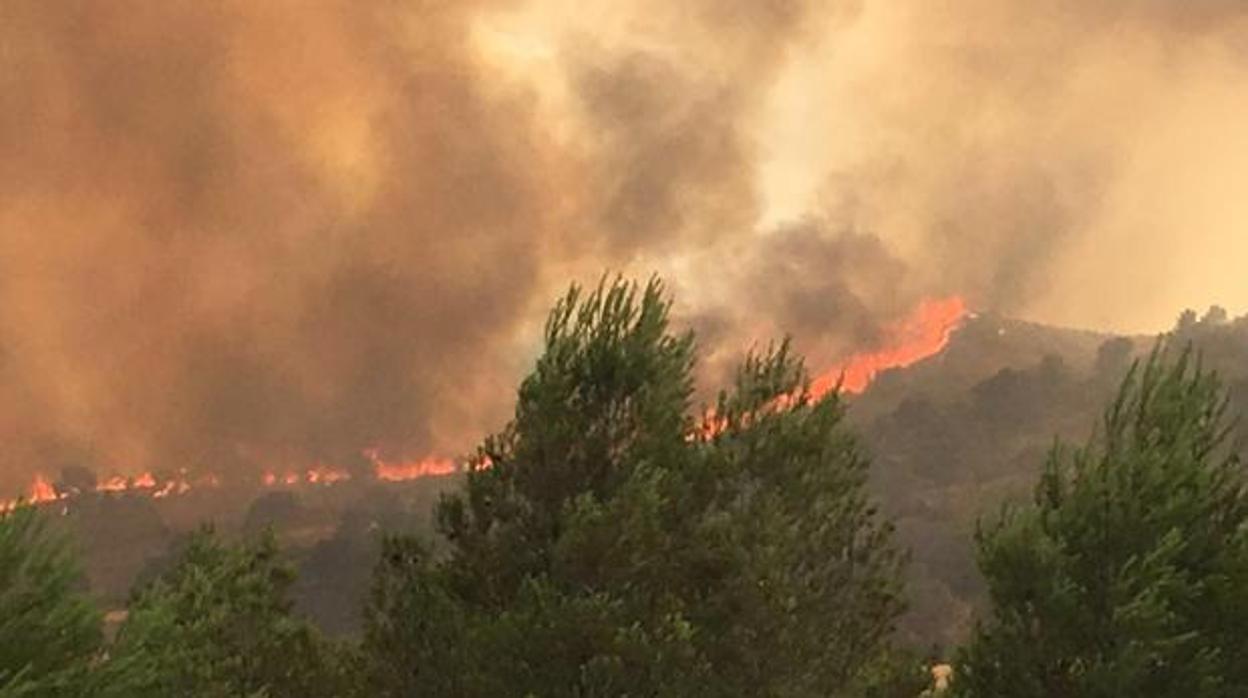 El incendio que se produjo en el municipio albaceteño de Liétor