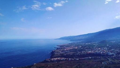 Las primeras fotos del nuevo manto verde de Canarias tras las lluvias