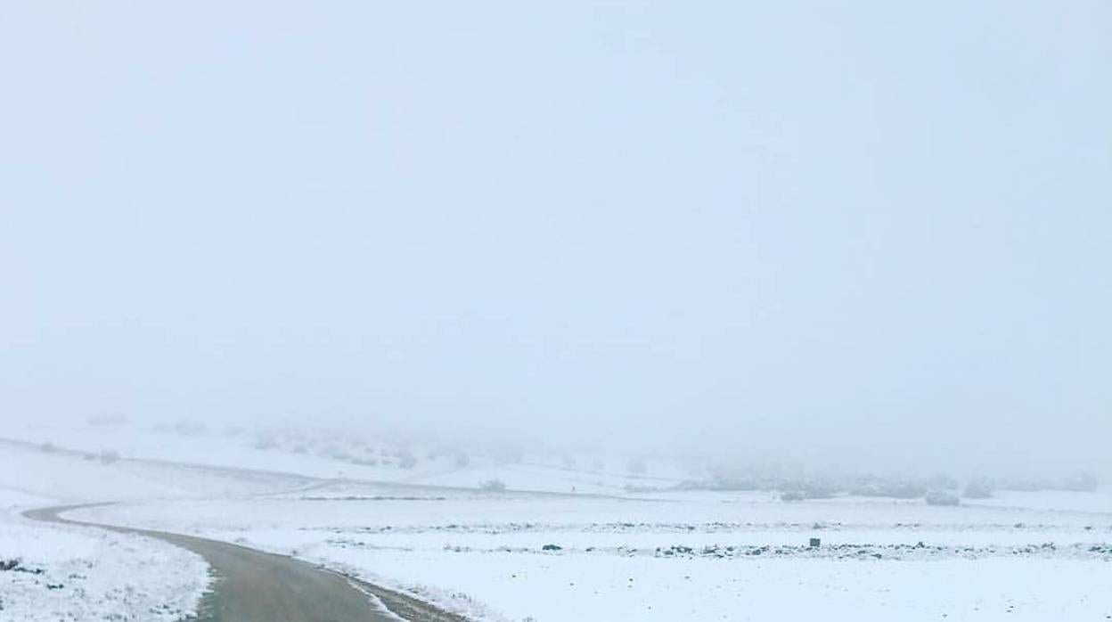 Nieve en la provincia de Albacete (Desde Viveros a Ruidera)