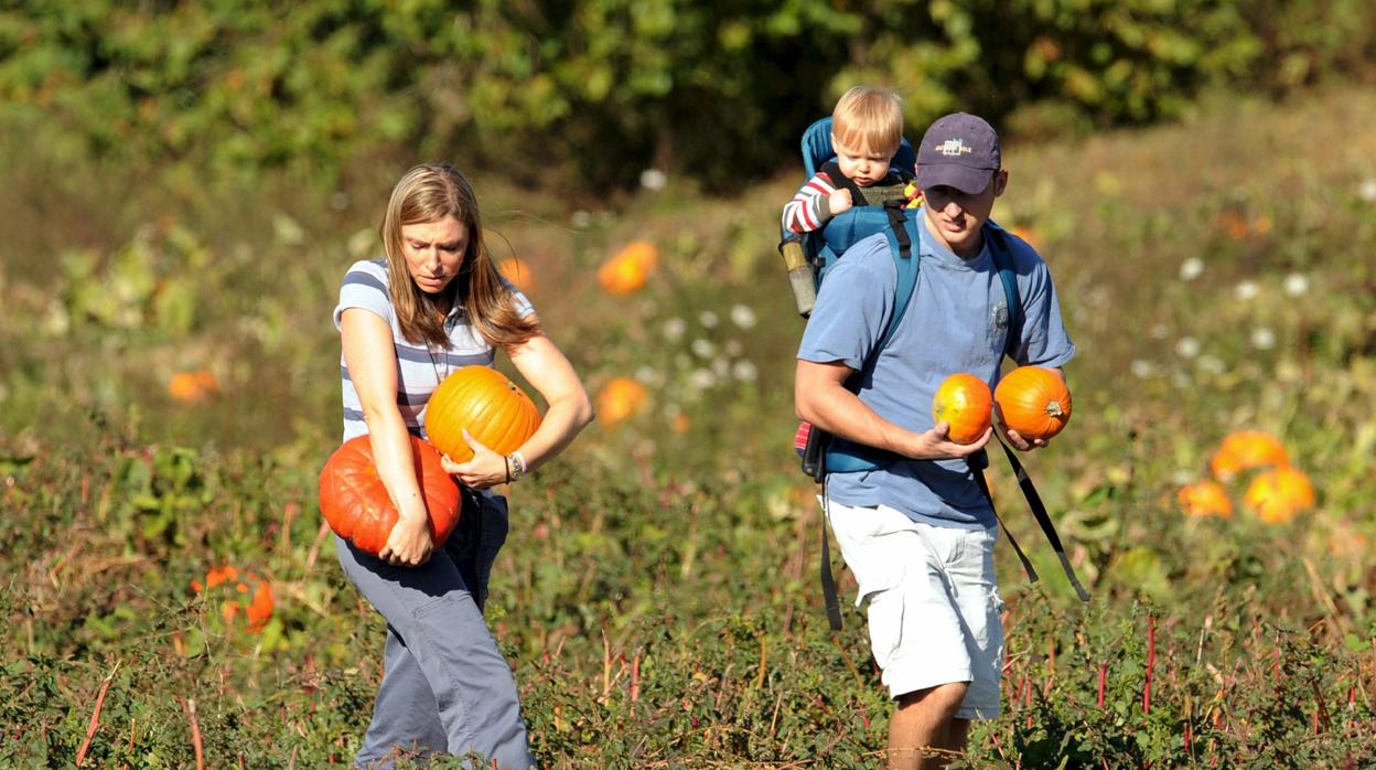 Imagen de una familia recogiendo calabazas en Estados Unidos