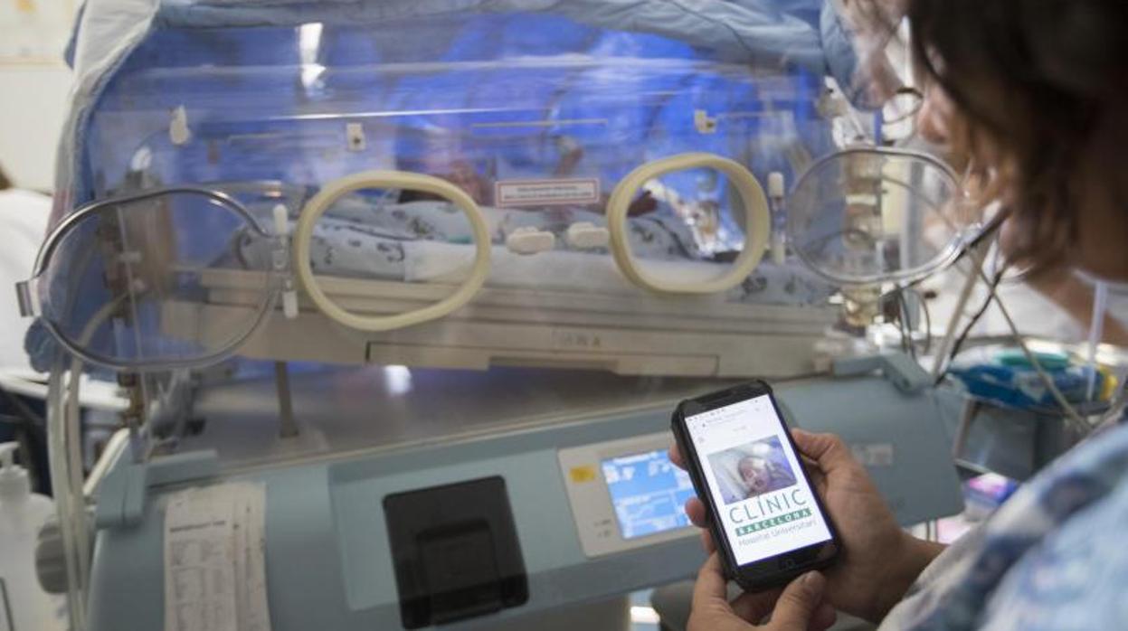 Con el sistema se puede ver al recién nacido durante 24 horas ddesde una web