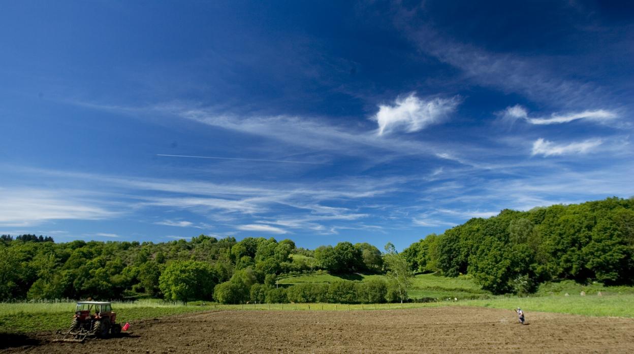 Campos de trabajo en el municipio lucense de Sarria