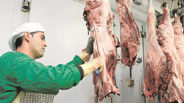 Medio centenar de veterinarios controlan la calidad sanitaria de la carne de caza