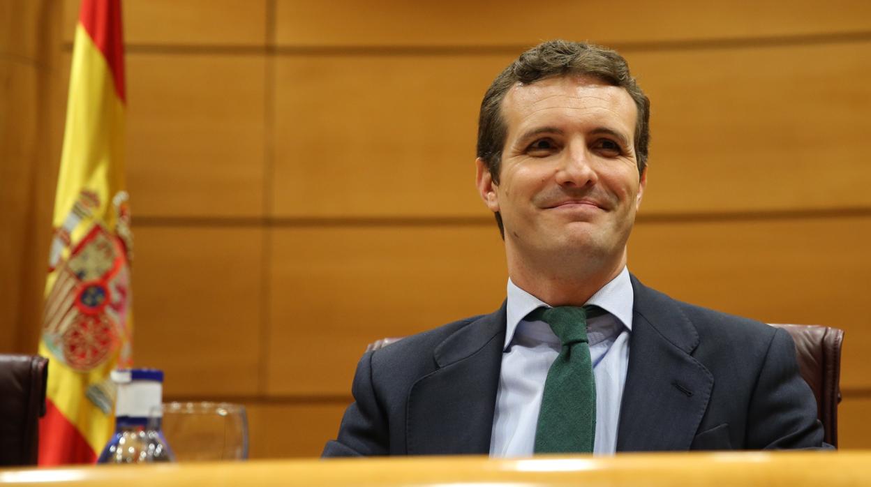 Pablo Casado, líder del PP