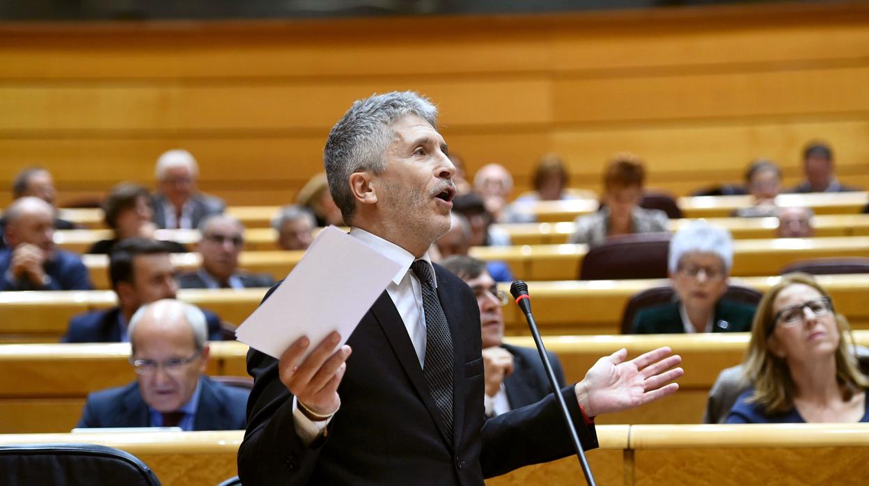 El ministro Fernando Grande-Marlaska, en el Senado