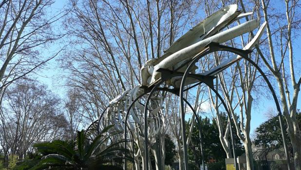 Piden que una ballena expuesta en el Zoo de Barcelona regrese al Prat, donde varó hace 35 años